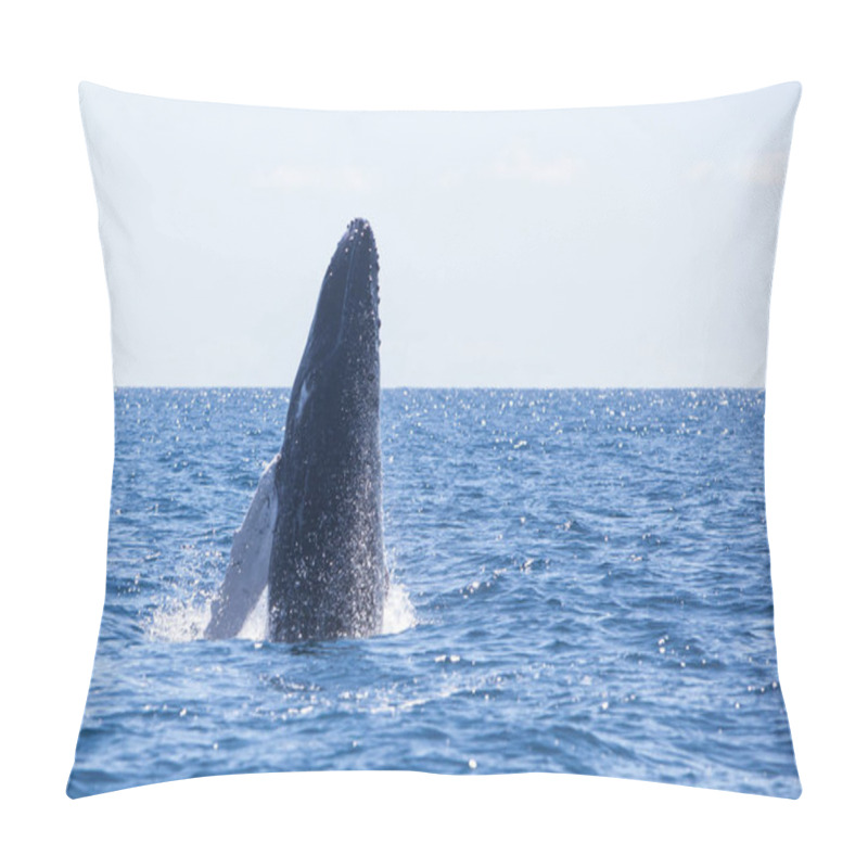 Personality  A Huge Humpback Whale, Megaptera Novaeangliae, Breaches Out Of The Blue Waters Of The Caribbean Sea. Pillow Covers