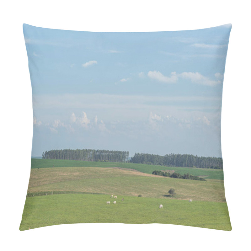 Personality  Large Farm With Extensive Livestock. Rural Landscape In Southern Brazil. Agricultural Production Area. Nellore Cattle. Farm For Livestock And Soy Plantation. Pillow Covers