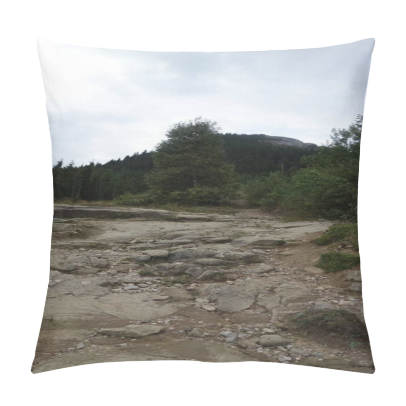 Personality  Rugged Mountain Trail Winding Through Dense Forest Under An Overcast Sky. Pillow Covers