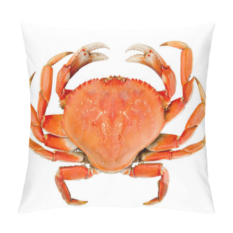 Personality  Isolated Whole Dungeness Crab Pillow Covers