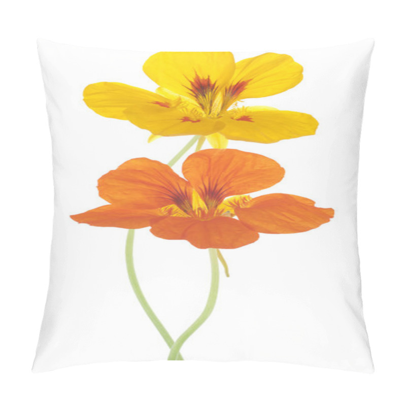 Personality  Nasturtium Pillow Covers