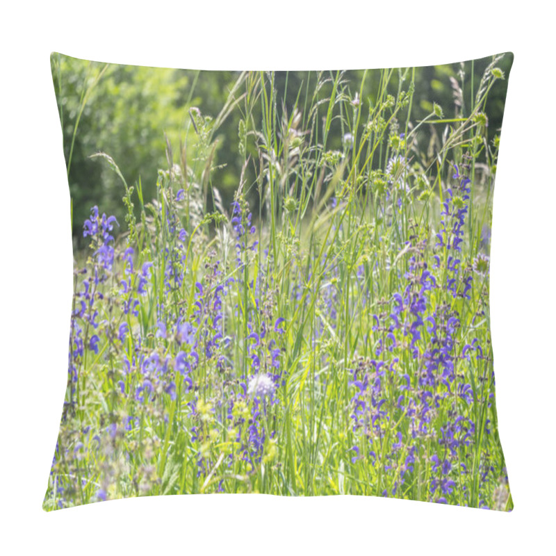 Personality  Meadow Clary Flowers Pillow Covers