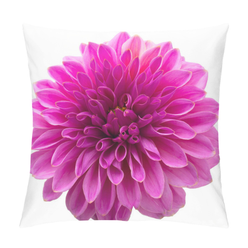 Personality  Purple Autumn Dahlias On White Background. Copy Space. Isolated On White Pillow Covers