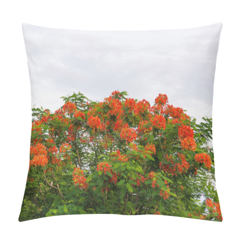 Personality  Caesalpinia Pulcherrima Flame Tree Flower. Pillow Covers