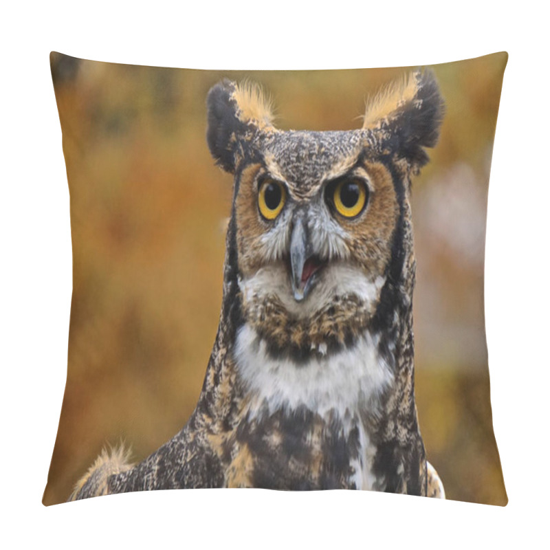 Personality  Great Horned Owl (Bubo Virginianus). Pillow Covers