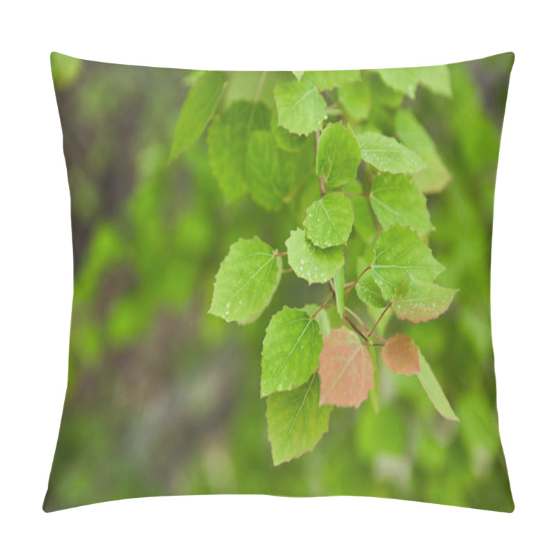 Personality  Selective Focus Of Spring And Green Leaves On Tree Branches Pillow Covers