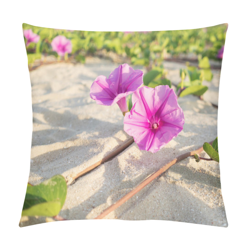 Personality  Beach Morning Glory Flowers On The Sand Pillow Covers