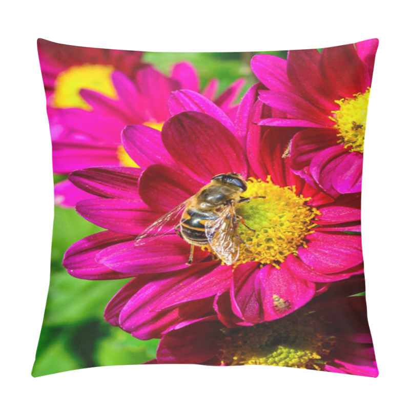 Personality  Batman Hoverfly - Myathropa Florea,  Flower Fly Hoverfly Collects Nectar On Autumn Flowers Chrysanthemum  Pillow Covers