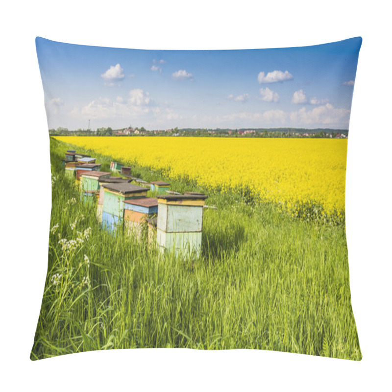 Personality  Apiary Put The Blooming Rape Field. Pillow Covers