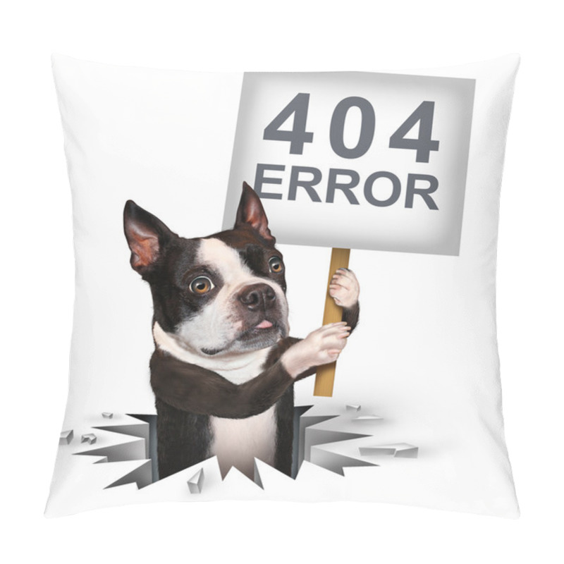 Personality  404 Error Pillow Covers