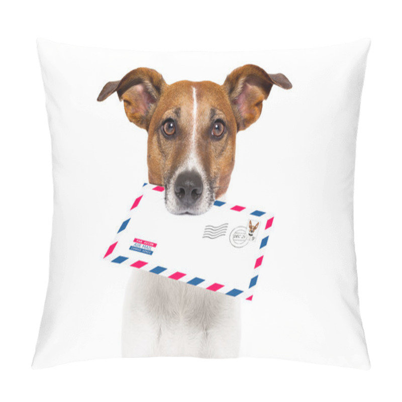 Personality  Mail Dog Pillow Covers