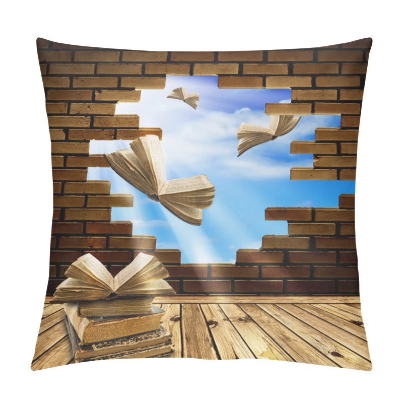 Personality  With Knowledge To The Freedom! Pillow Covers