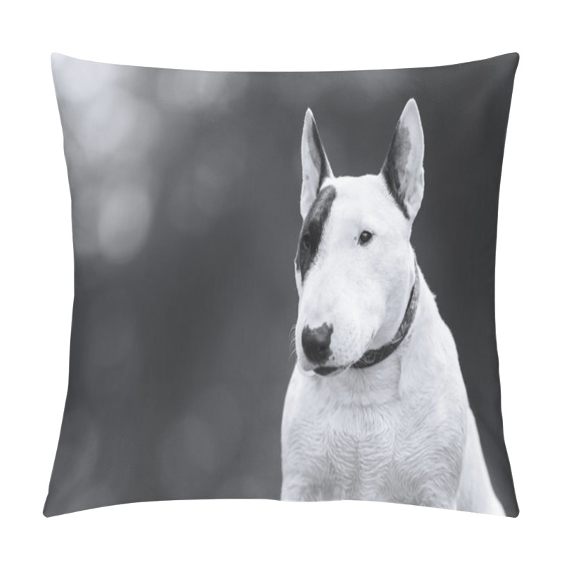 Personality  Dog Bull Terrier Walking In The Park Pillow Covers