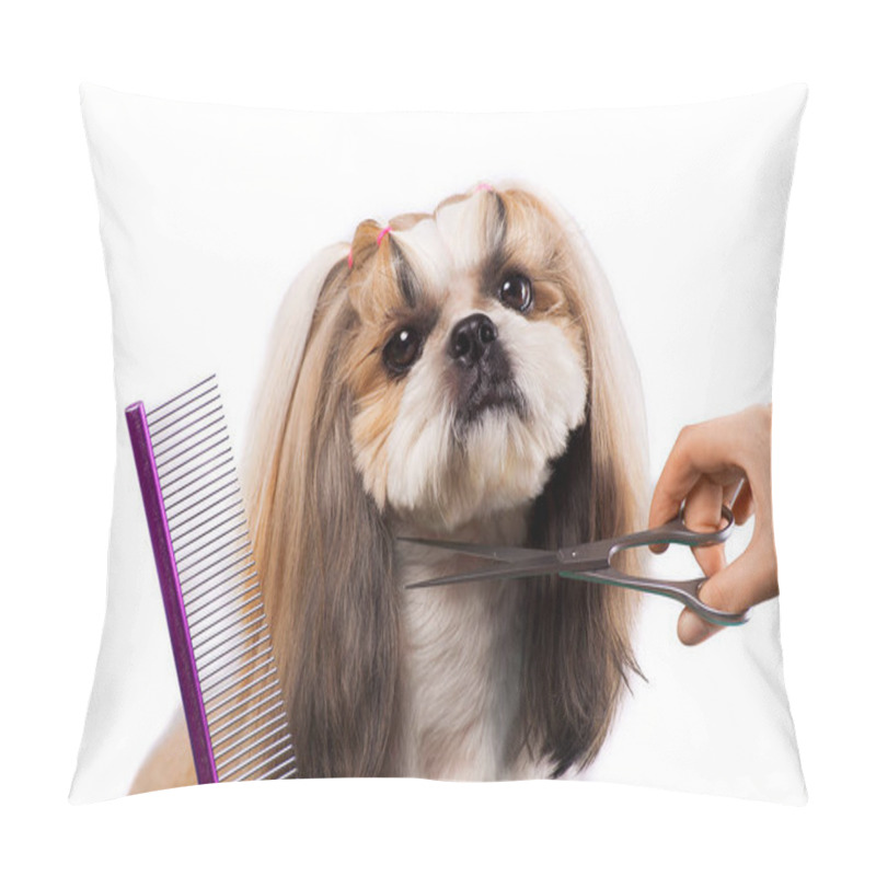 Personality  Beautiful Shih-tzu Dog At The Groomer's Hands With Comb. Pillow Covers