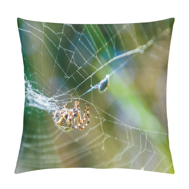 Personality  Orb-weaver Spider Araneid Caught A Prey On His Spiderweb And Tangled It With The Web Threads Pillow Covers