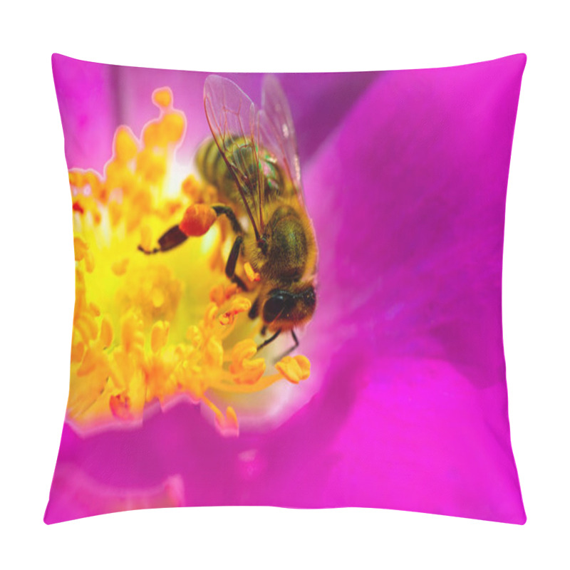 Personality  Bee On A Flower Close Up. Spring Single Daisy Flower And Bee. Beautiful Pink Dog-rose On Spring Field And Flying Bumblebee In Nature Macro On Soft Light Background. Concept Spring Summer. Pillow Covers