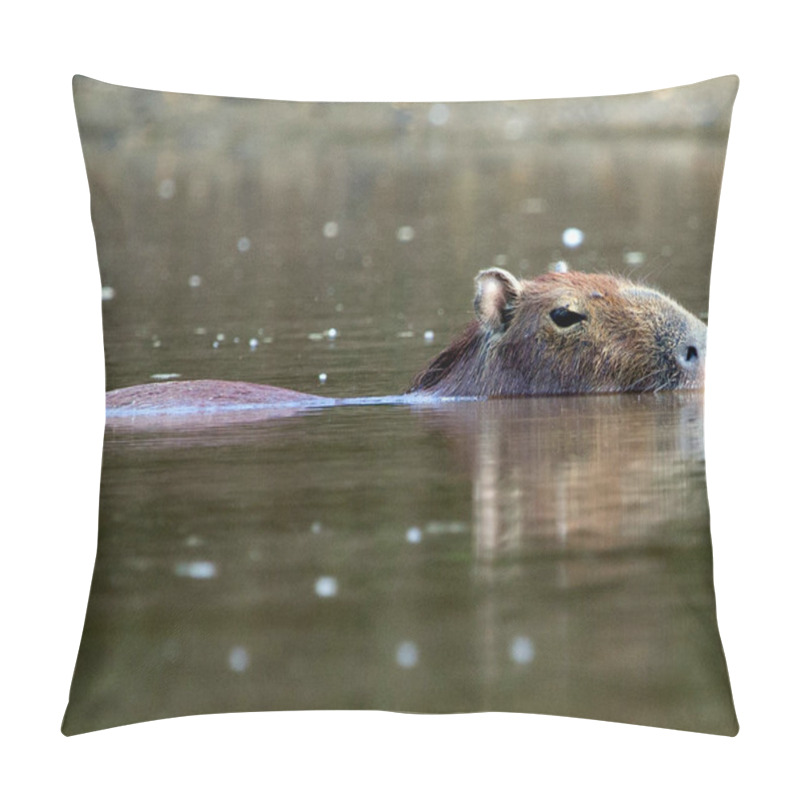 Personality  Closeup Portrait Of A Capybara (Hydrochoerus Hydrochaeris) Half Submerged In Water In The River Of The Pampas Del Yacuma, Bolivia. Pillow Covers