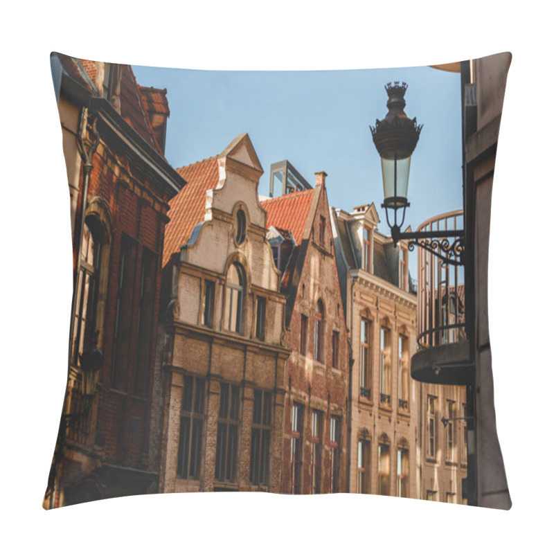 Personality  Belgian Pillow Covers