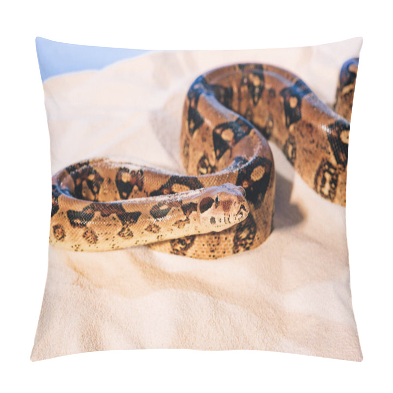 Personality  Selective Focus Of Snake On Sand On Blue Background Pillow Covers