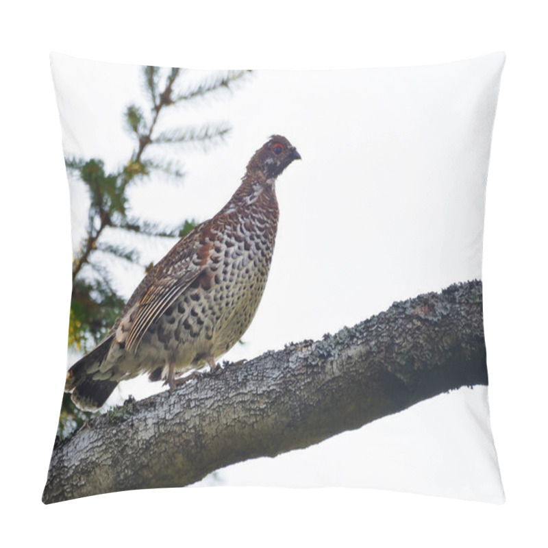 Personality  Male Hazel Grouse (Tetrastes Bonasia) Perched On The Birch Branch High Above The Ground In Dark Forest  Pillow Covers