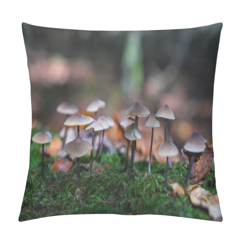 Personality  Mushrooms Grow On The Top Of A Decayed Tree Trunk. Pillow Covers