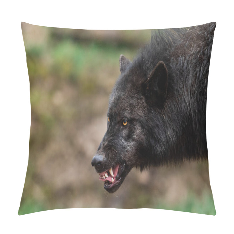 Personality  Portrait Of A Angry Timberwolf Pillow Covers