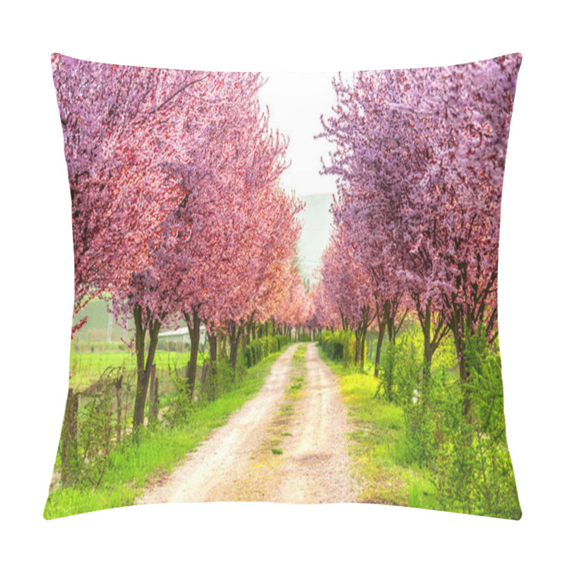 Personality  Springtime Landscape In A Sunny Day  Pillow Covers