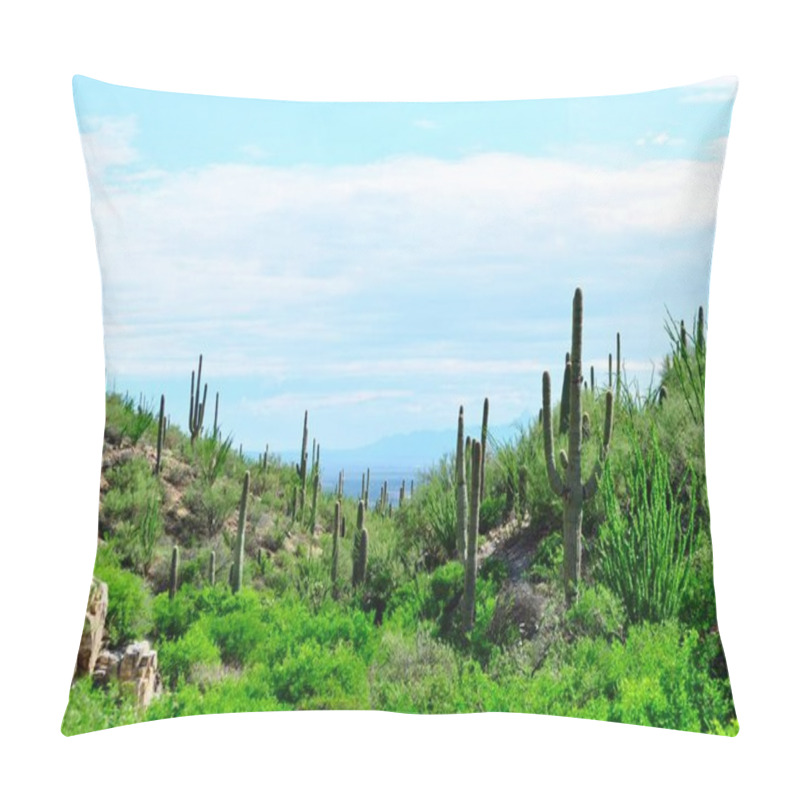 Personality  Saguaro Cactus Landscape. Saguaro National Park, Arizona. Pillow Covers