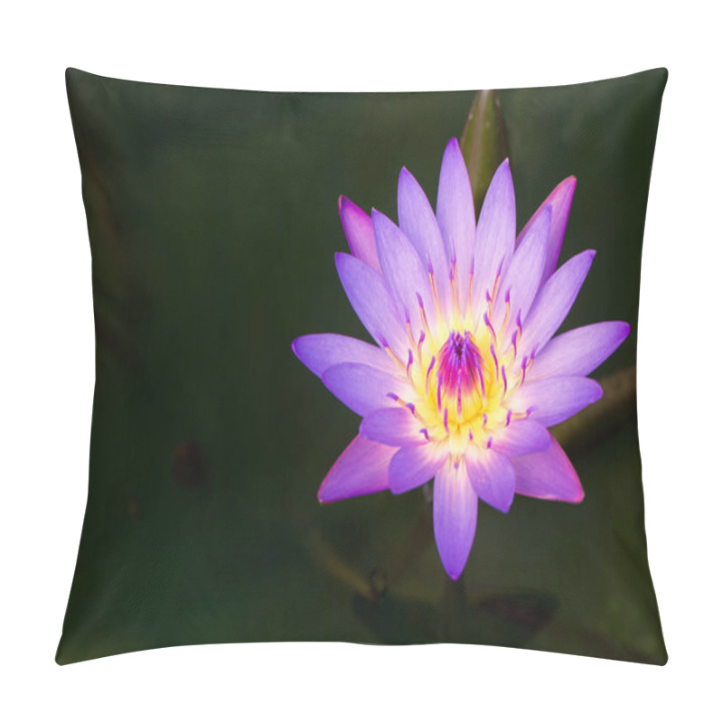 Personality  Beautiful Pink Lotus In Dark Pond Background Pillow Covers