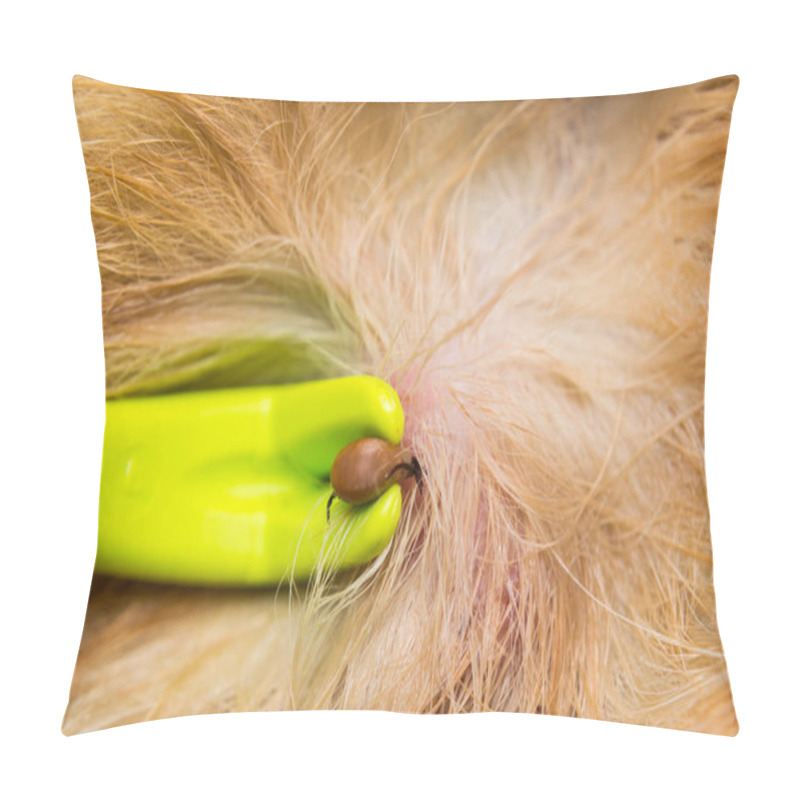 Personality  Removing A Tick From Cat Or Dog Skin With Tick Remover Tool Pillow Covers