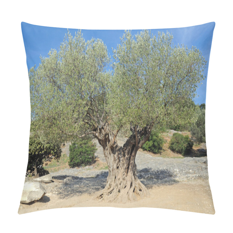 Personality  Olive Tree Pillow Covers