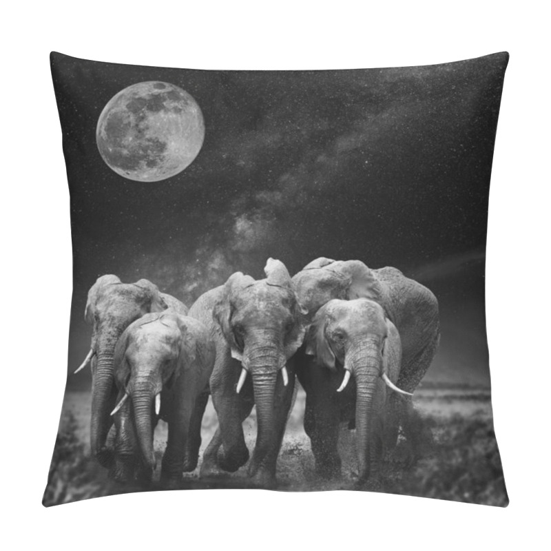 Personality  Beautiful Night Landscape With Elephant, Moon And The Milky Way Galaxy. Black And White Pillow Covers