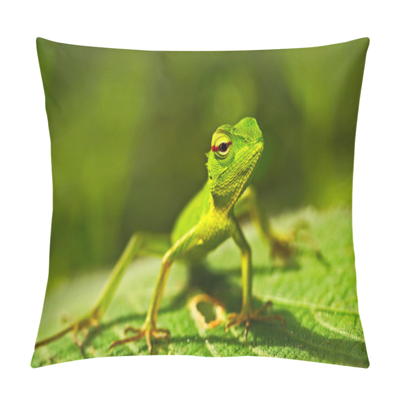 Personality  Green Garden Lizard Pillow Covers