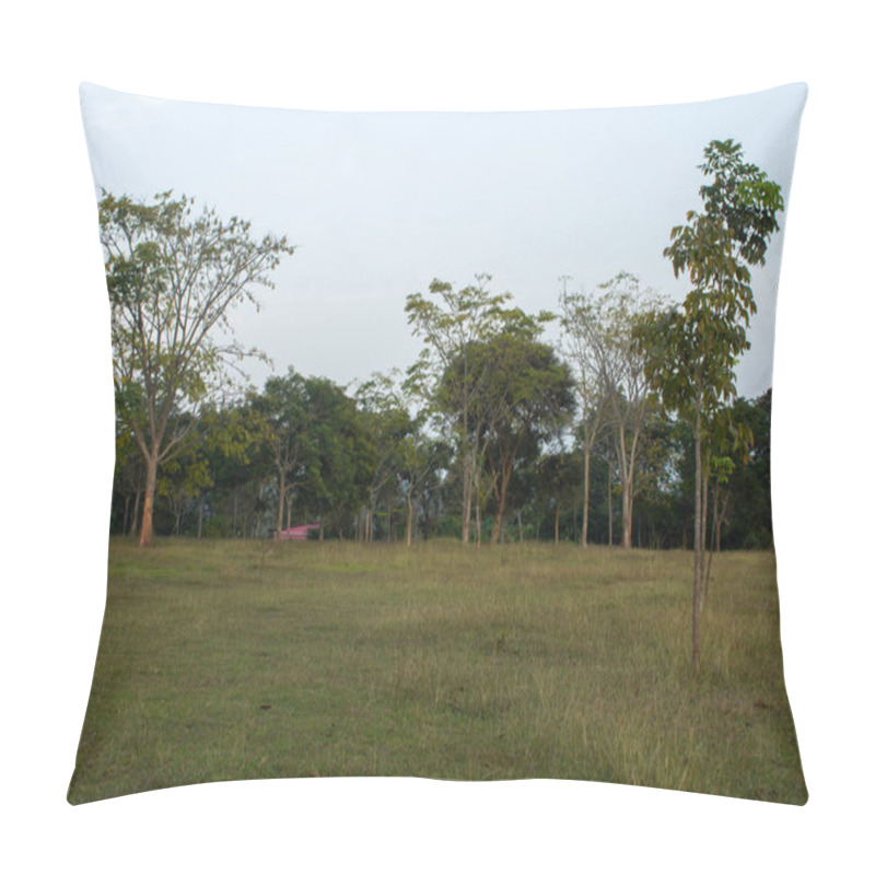 Personality  View Of The Trees In The Forest Area Along Masinagudi, Mudumalai National Park, Tamil Nadu - Karnataka State Border, India. Pillow Covers