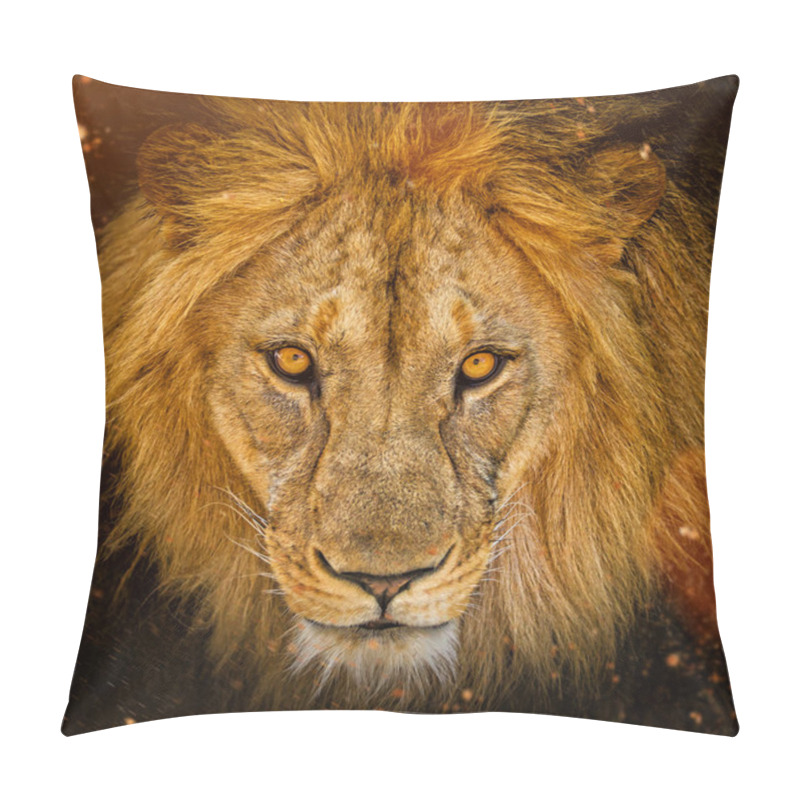 Personality  Portrait Of A Male African Lion Pillow Covers