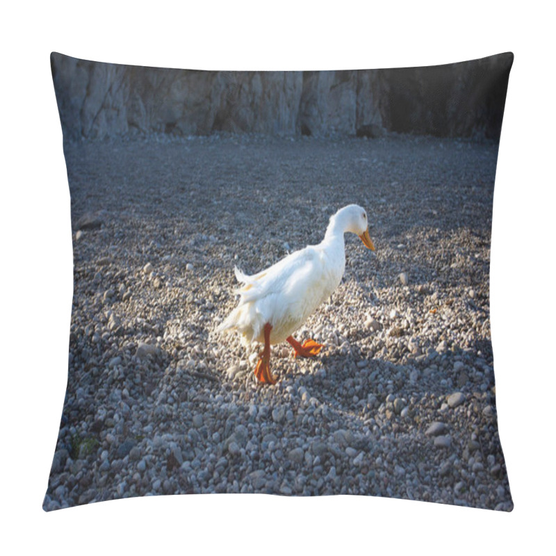 Personality  White Duck Walking   Pillow Covers