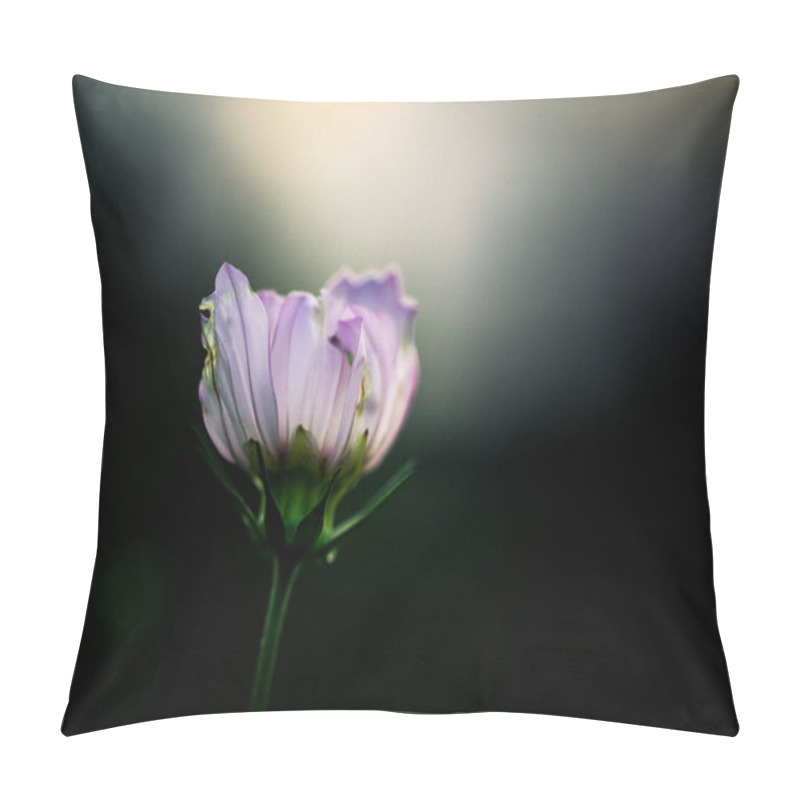 Personality  Wild Flower Close Up  Pillow Covers