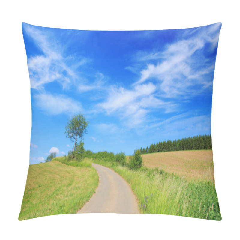 Personality  Asphalt Road Through The Green Field And Clouds On Blue Sky. Pillow Covers