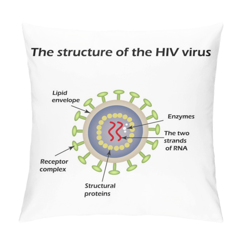 Personality  The Structure Of The AIDS Virus. HIV. Vector Illustration Pillow Covers