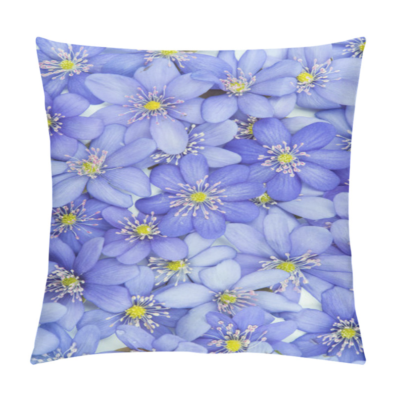 Personality  Spring Flowers Hepatica Nobilis Pillow Covers