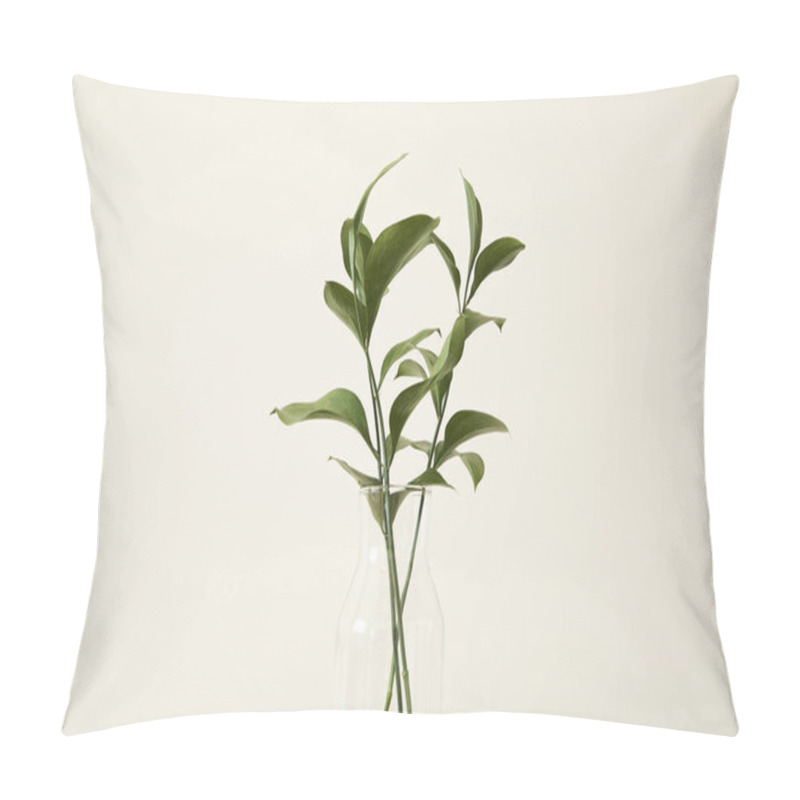 Personality  Green Plants With Fresh Leaves In Glass Vase  Pillow Covers