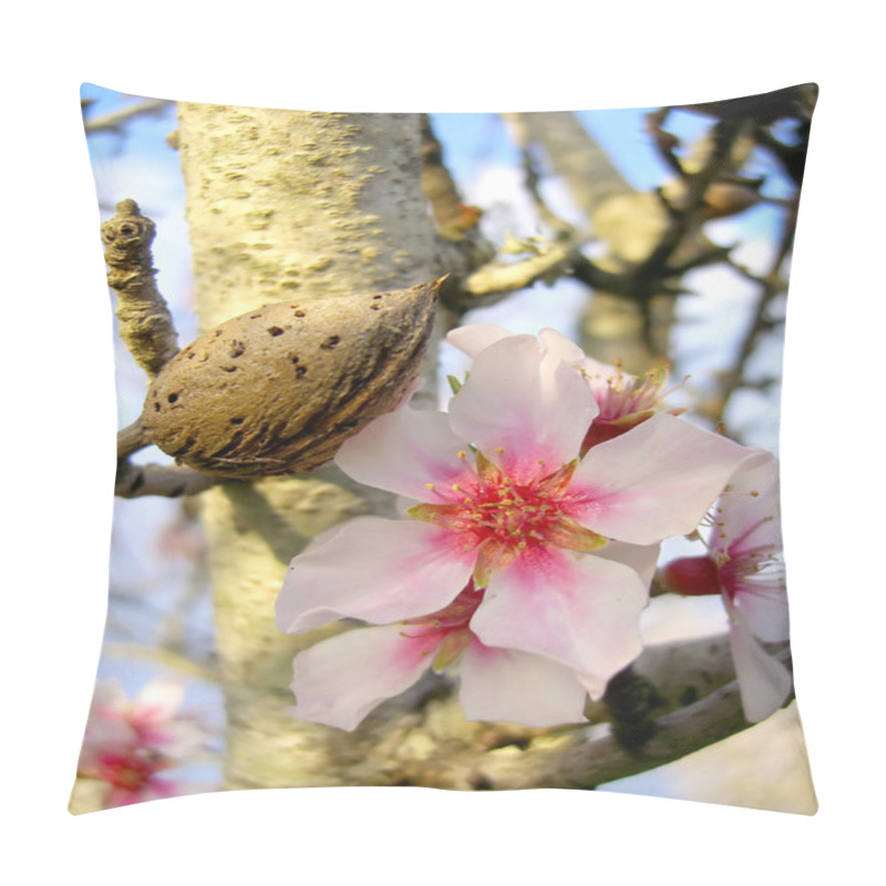 Personality  Almonds On The Tree Pillow Covers