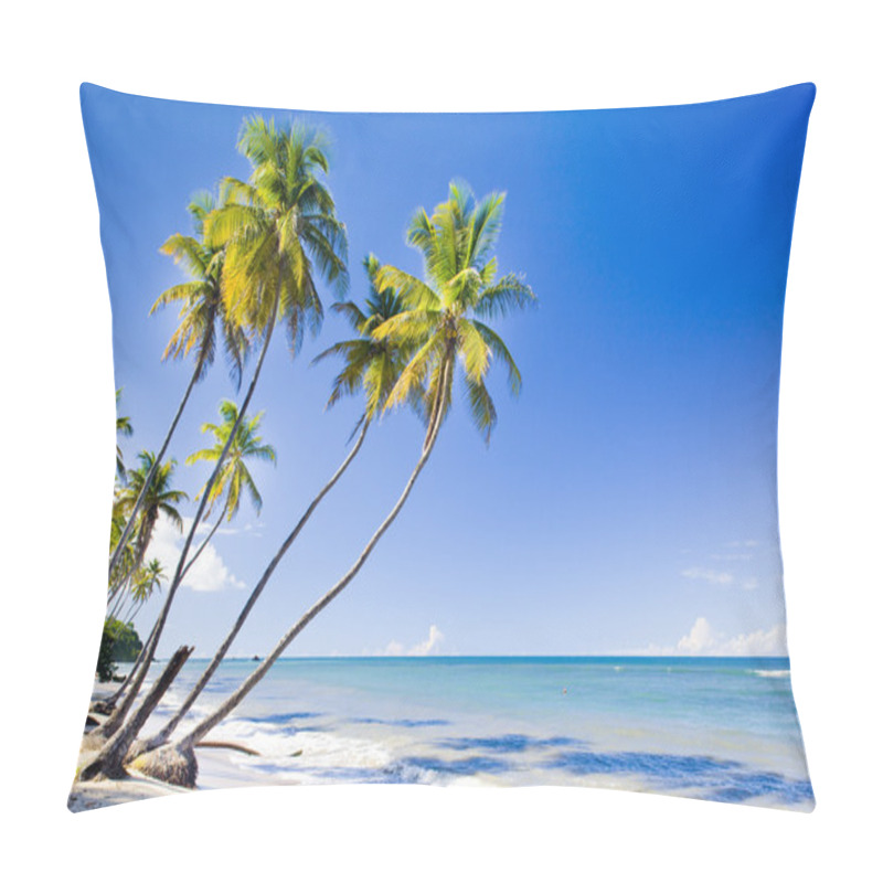 Personality  Northern Coast Of Trinidad; Caribbean Pillow Covers