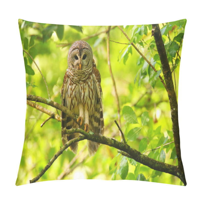 Personality  Barred Owl (Strix Varia) Sitting On A Tree Pillow Covers