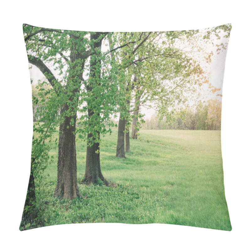 Personality  Sunlight In The Green Forest Springtime Pillow Covers