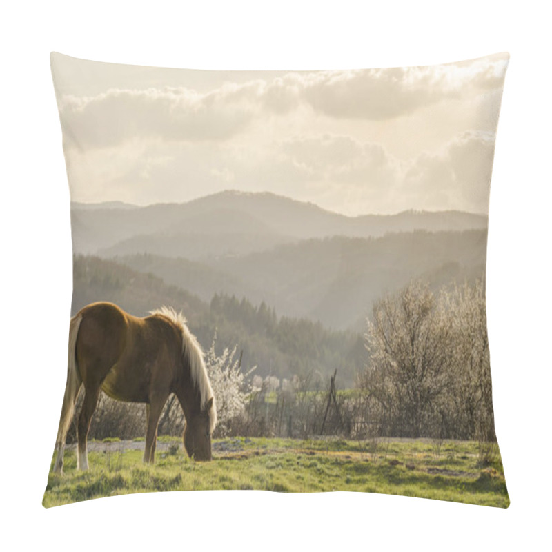 Personality  Beautiful Springtime Image Pillow Covers