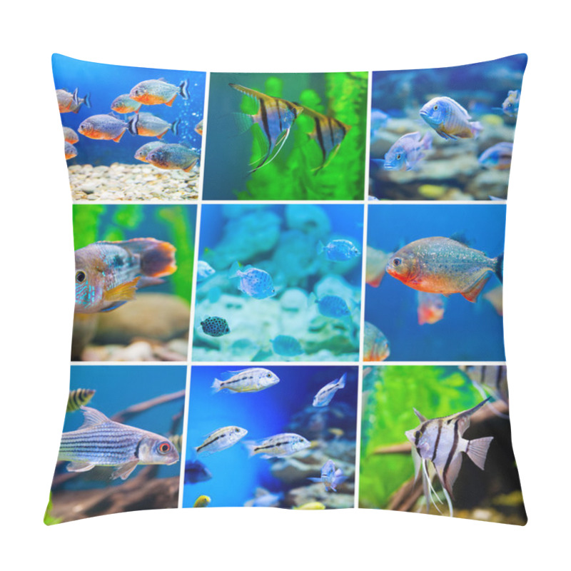 Personality  Blue Saltwater World In Aquarium Pillow Covers