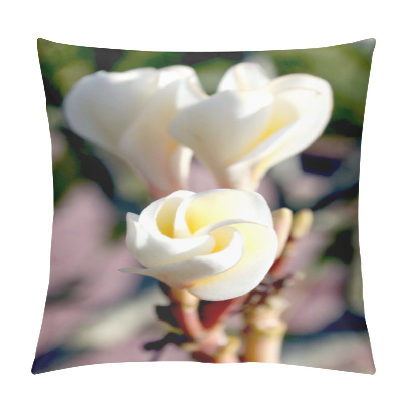 Personality  Tropical Flowers Pillow Covers