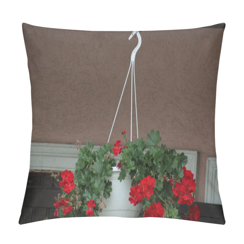 Personality  Bright Red Geranium Flowers Cascade From A White Hanging Planter, Adding A Vibrant Touch To A Charming Outdoor Space With A Warm Background. Pillow Covers