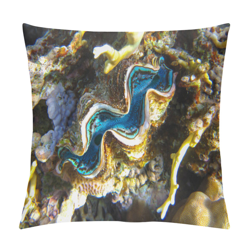 Personality  Tridacna Gigas, Giant Tridacna, Or Giant Cocked Hat In The Red Sea Coral Reef, Hurghada, Egypt Pillow Covers